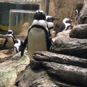 Meet your Posher, Jonathan